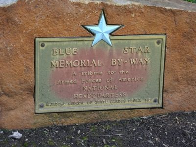 Blue Star Marker