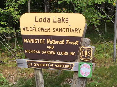 Lake Loda Wildflower Sanctuary