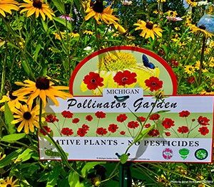 Pollinator Sign
