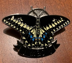 Black Swallowtail Pin