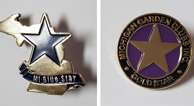 Image of Blue Star and Gold Star Memorial Pins