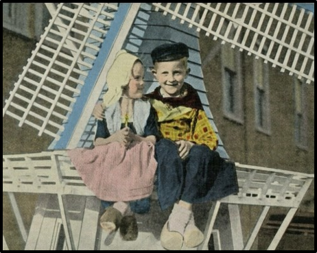 Windmills & Wooden Shoes NGC Standard Flower Show 5/6/2026